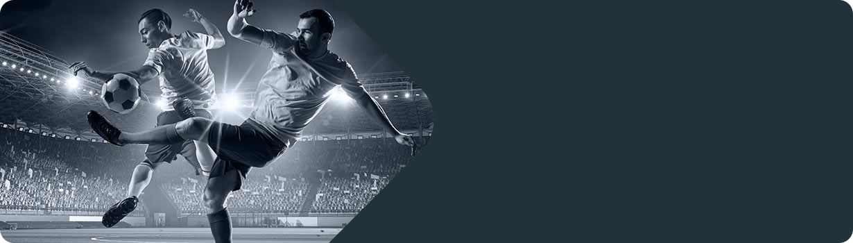 electronic sudoku game
